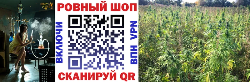 Где купить Обоянь Каннабис  Мефедрон  АМФ  ГАШ  Героин  A PVP 