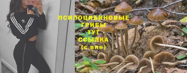 кристаллы Алзамай